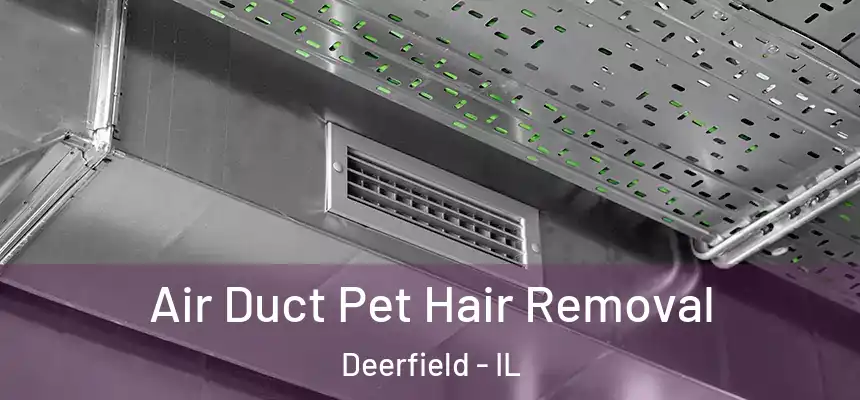  Air Duct Pet Hair Removal Deerfield - IL