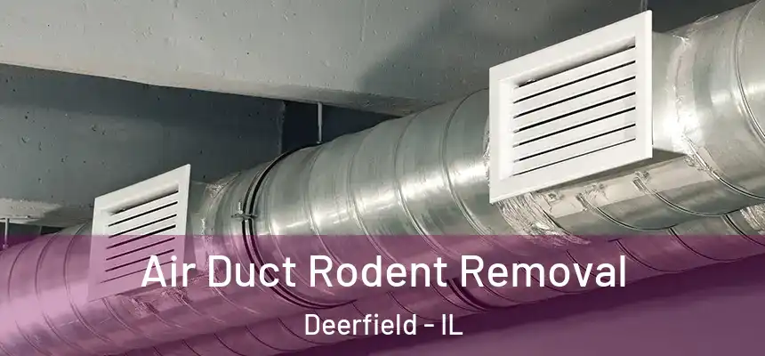  Air Duct Rodent Removal Deerfield - IL