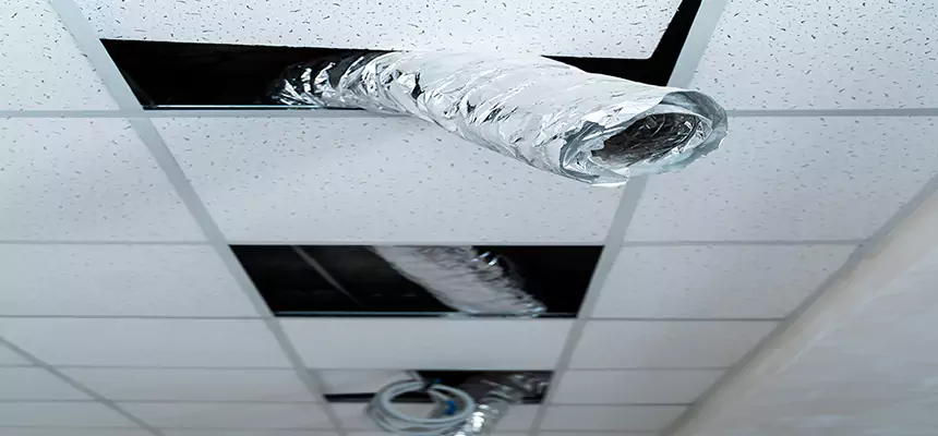 Affordable HVAC Sanitizing After Pest Removal in Deerfield