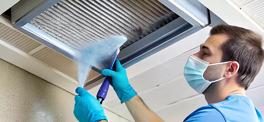 Proactive Dryer Vent & Auxiliary Duct Pollen Cleanup in Deerfield, IL