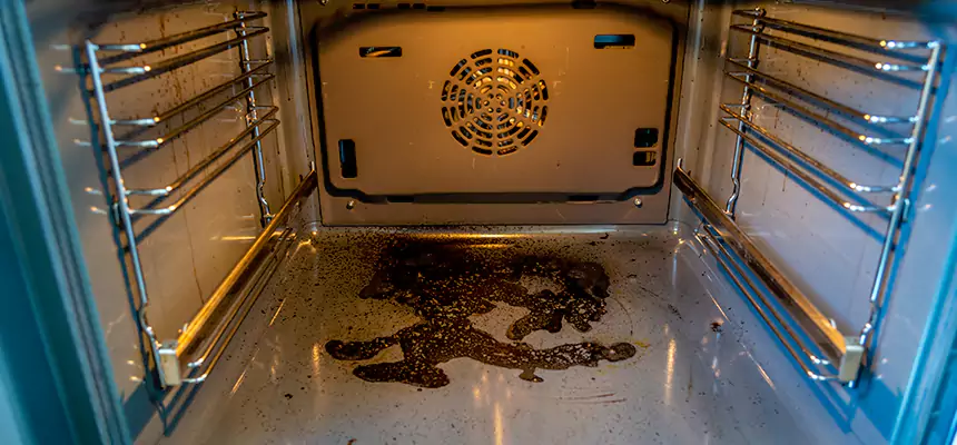 Our Dryer Vent Mold Cleaning Services in Deerfield, IL