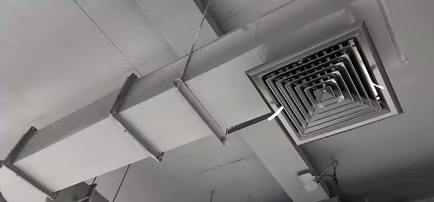 Our Pest Removal From Ducts Services in Deerfield, IL