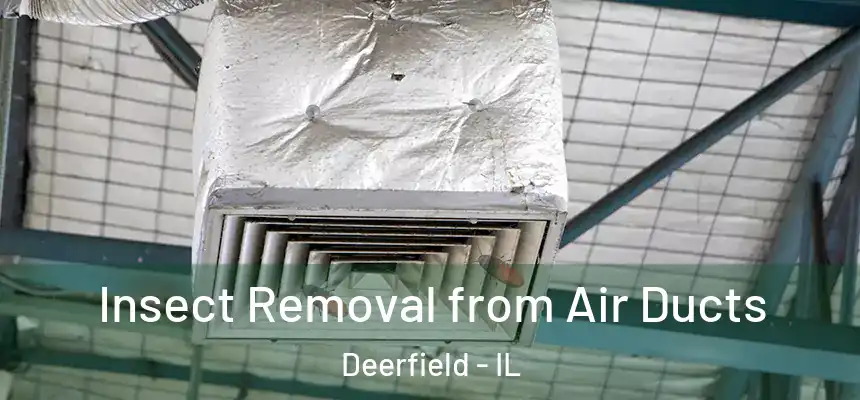  Insect Removal from Air Ducts Deerfield - IL