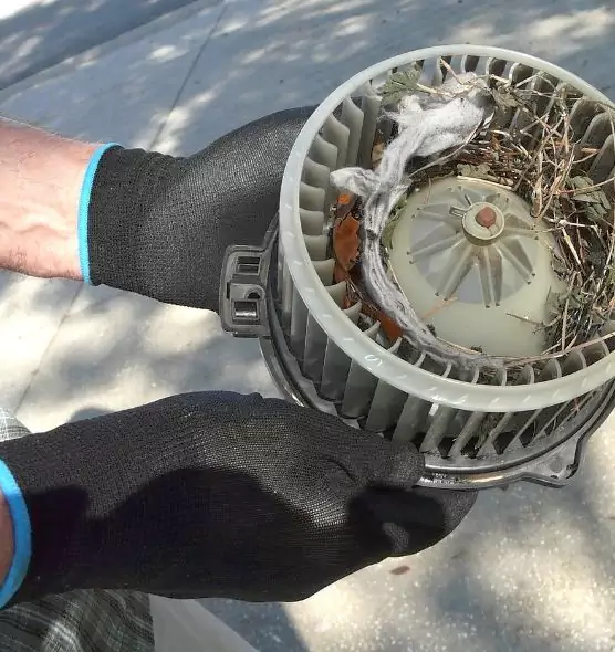 About Air Duct Mice Removal in Deerfield, IL