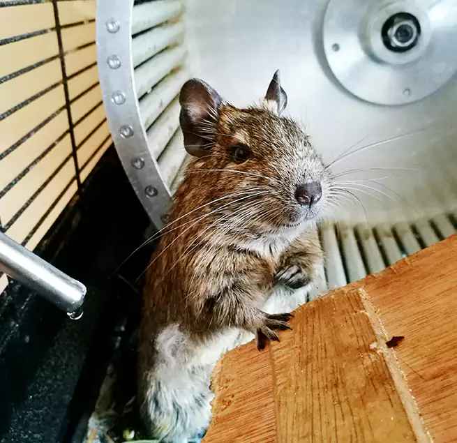 Why Homeowners & Businesses Trust Us Deerfield, IL?