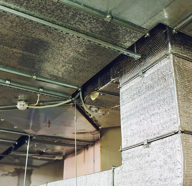 Why Homeowners & Businesses Trust Us in Deerfield, IL?